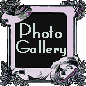 Photo Gallery